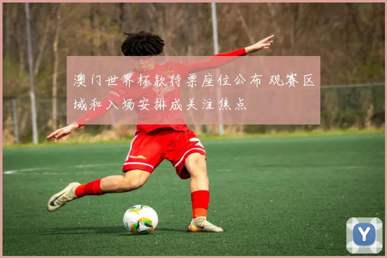 澳门世界杯款待票座位公布 观赛区域和入场安排成关注焦点