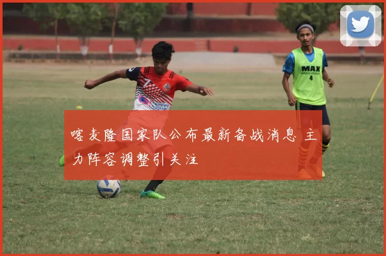 喀麦隆国家队公布最新备战消息 主力阵容调整引关注