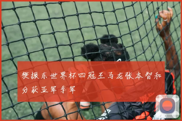 樊振东世界杯四冠王马龙张本智和分获亚军季军